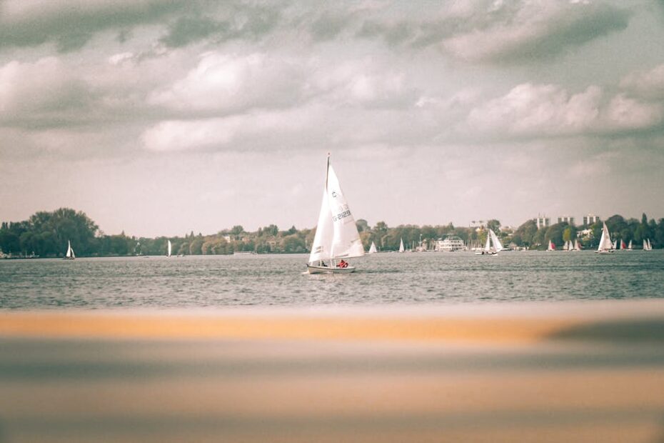 PEXELS PHOTO 31765820