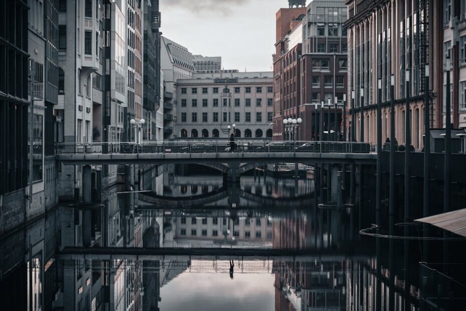 PEXELS PHOTO 11542516 4